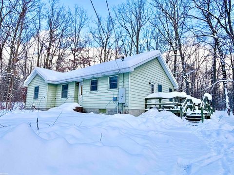 8404 N Dead Stream Road Lyon Township MI 48653