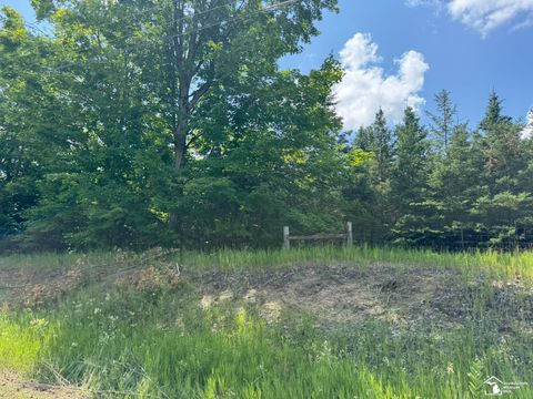 0000 Hayes Tower Road Gaylord City MI 49735