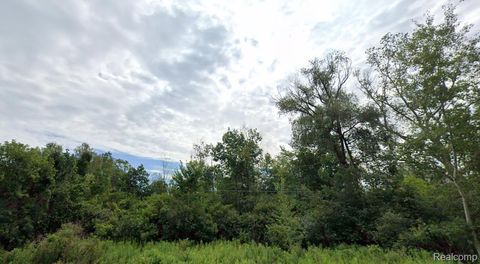 8421 Old Mill Drive Hamburg Township MI 48169