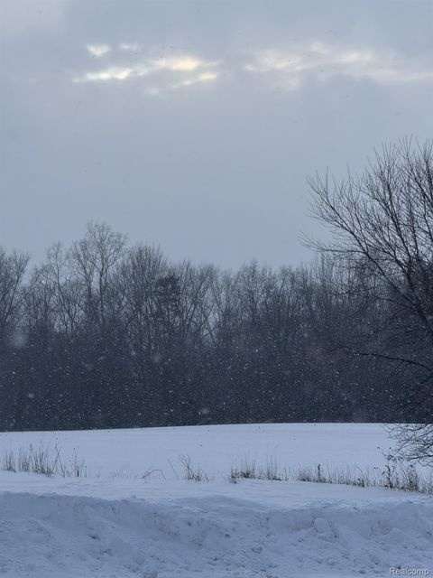 VL Levalley Road Columbiaville Village MI 48421