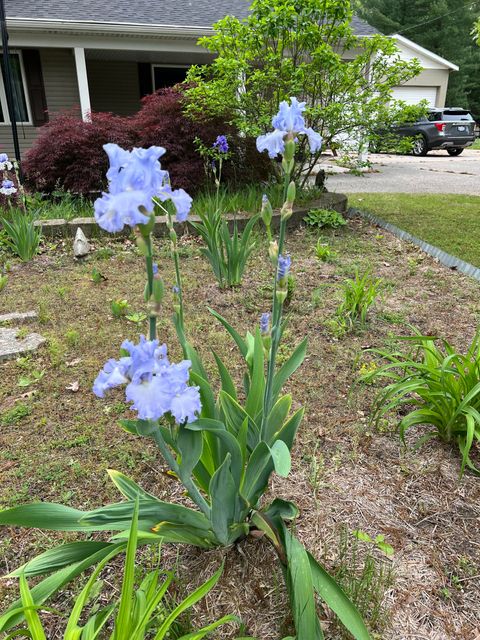 Tiny photo for 673 S Wolf Lake Road, Egelston Township, MI 49442 (MLS # 71026010089)