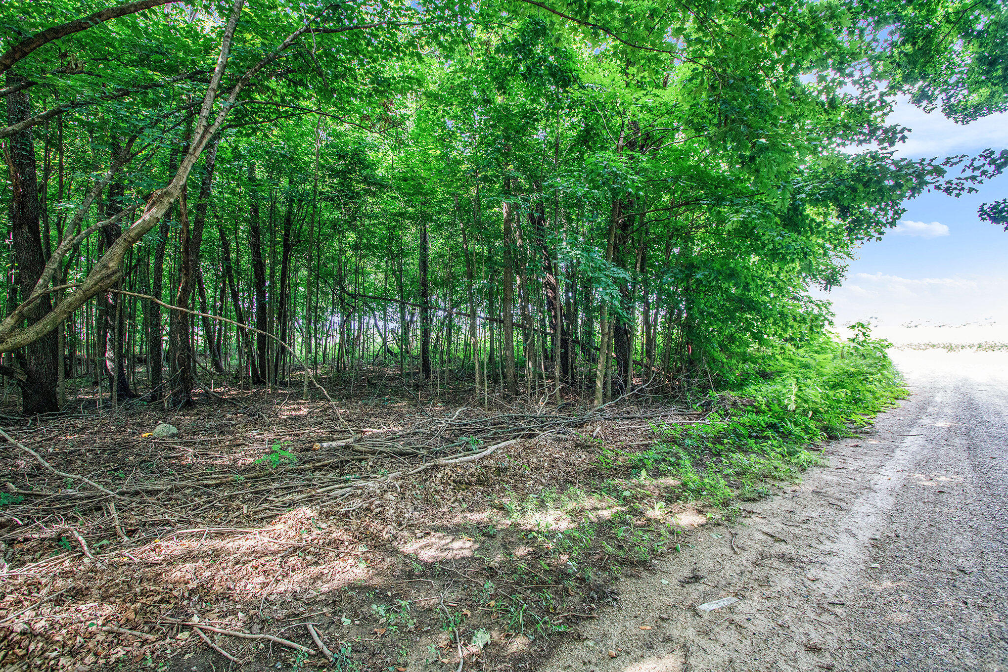 V/L Twin Shores Drive