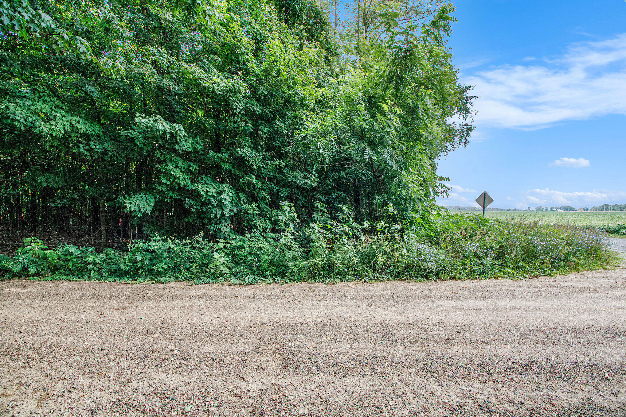 V/L Twin Shores Drive