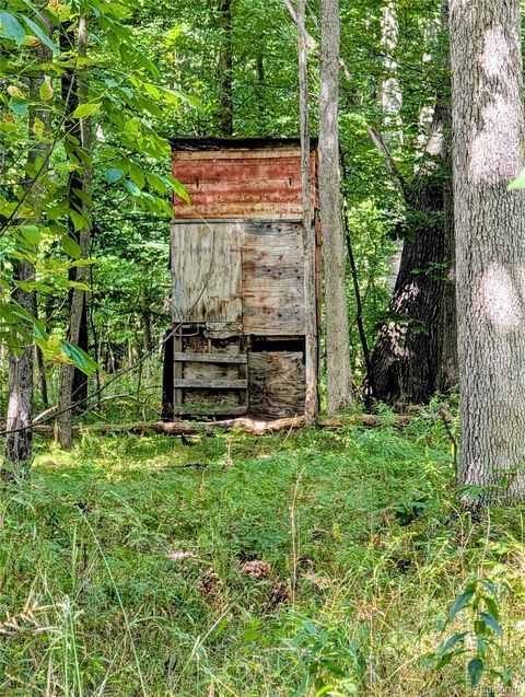 0 S Maywood Road Elba Township MI 48806