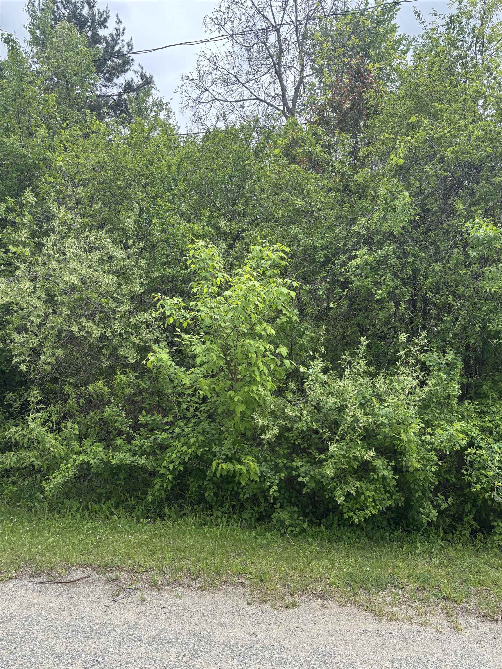 Lot 49 Leona Drive