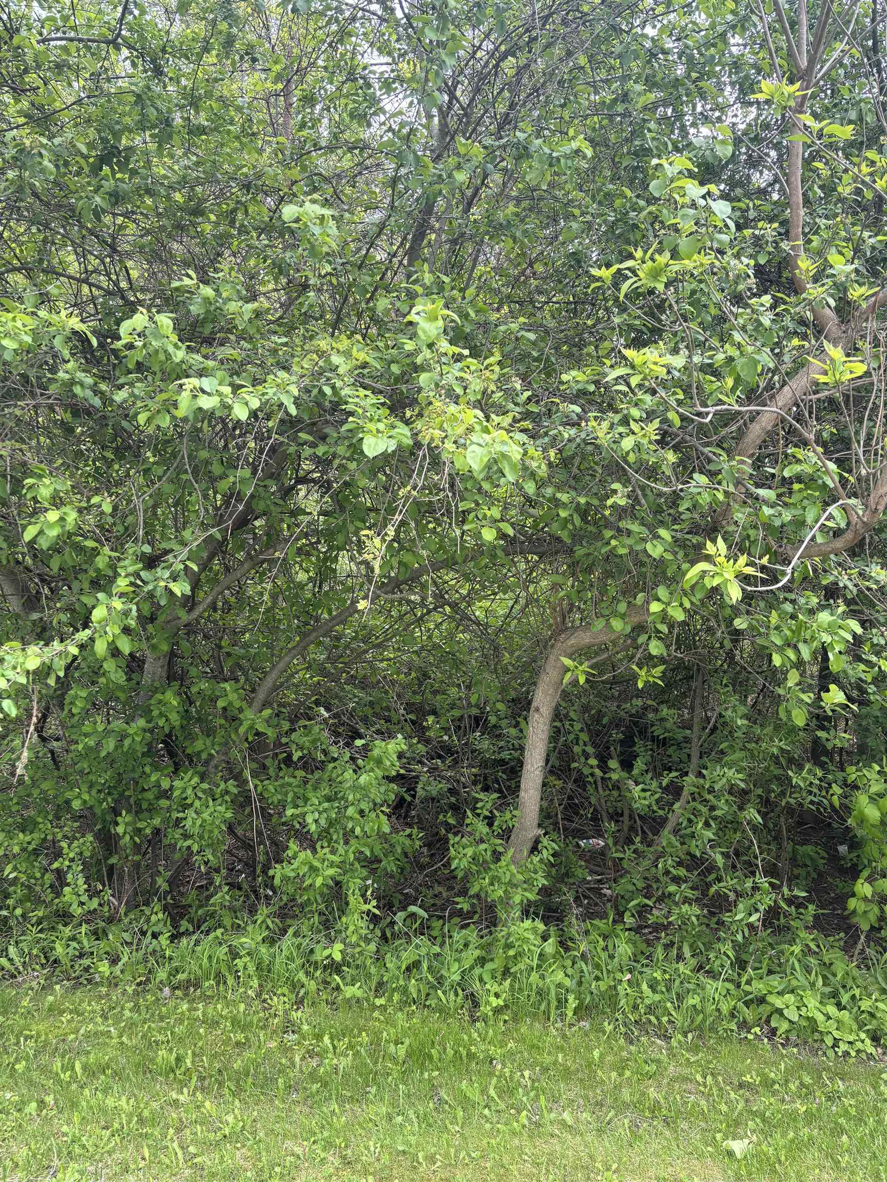 Lot 49 Leona Drive