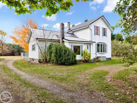 2538 Burnside Road North Branch Village MI 48461