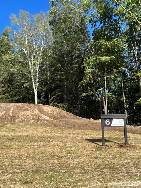 6810 Morrison Hills Court Scio Township MI 48130