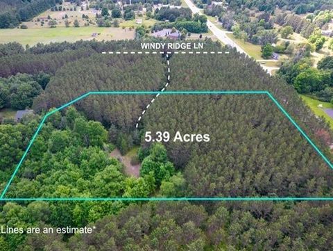 V/L Windy Ridge Homestead Township MI 49617