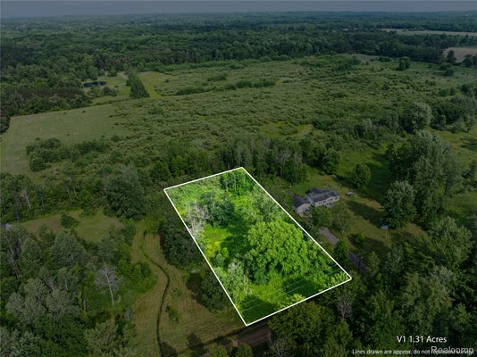 #0078 V/L NATURES NEST ROAD, VASSAR, MI 48768 - Image f40ffb02a2e97e31d952eac93656e057/4196952199
