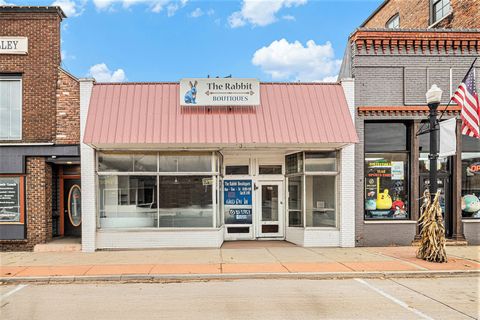 120 E Bridge Street Plainwell City MI 49080