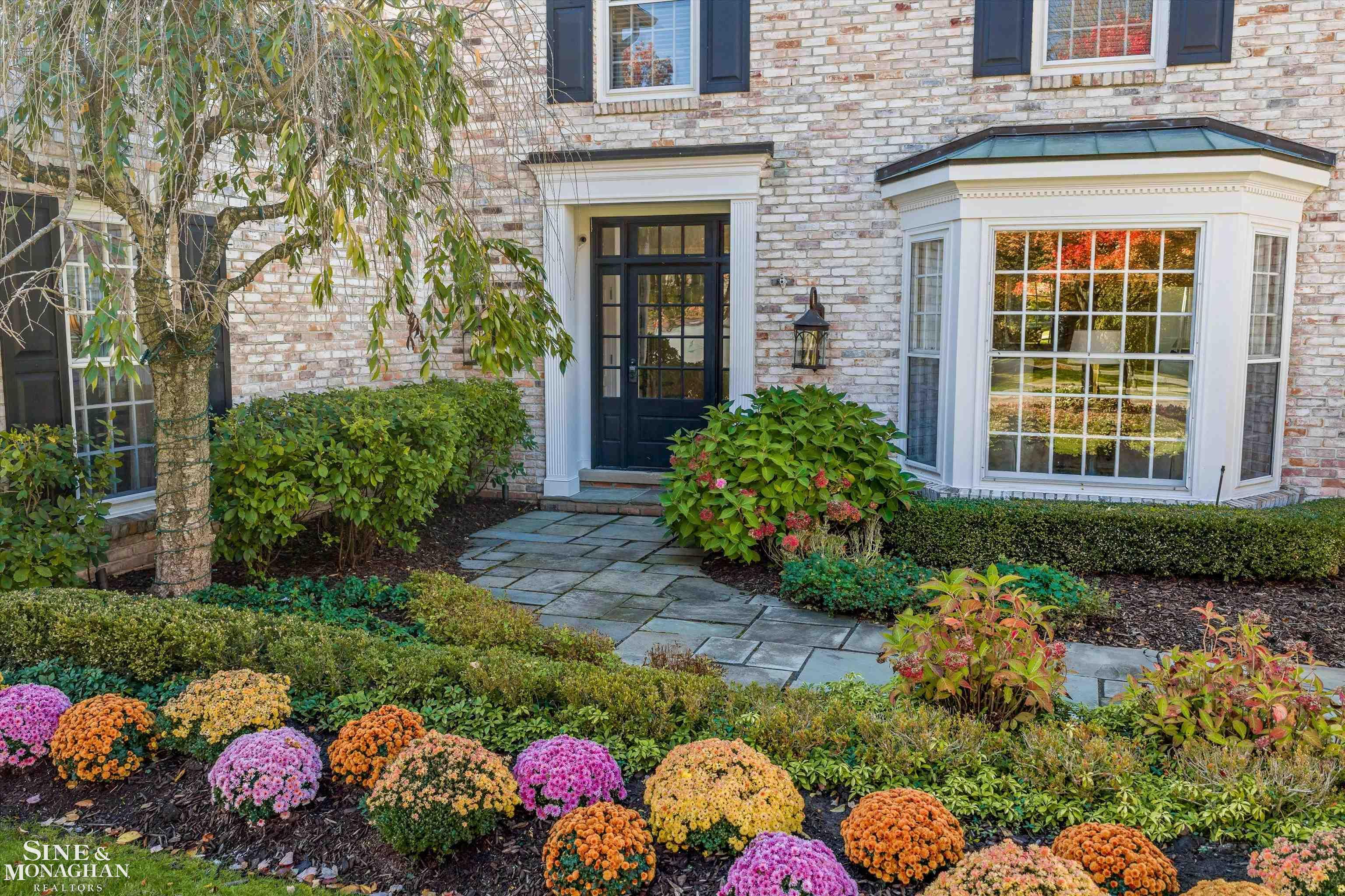 11 Dodge Place Place