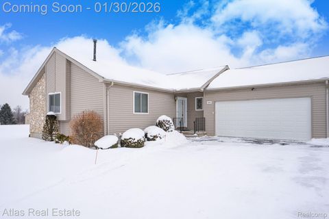 10200 Hawthorne Circle Atlas Township MI 48438