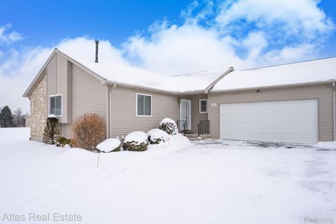 10200 Hawthorne Circle Atlas Township MI 48438