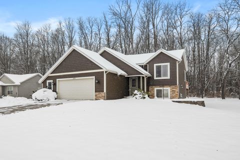 518 Foxmoor Drive Gun Plain Township MI 49080