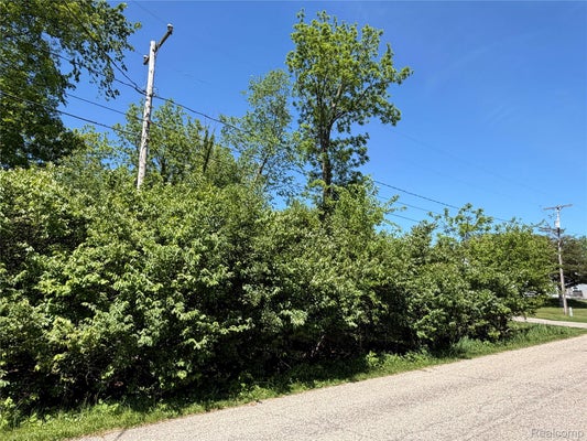 CLAREMONT CIR, BROOKLYN, MI 49230 - Image f4c5a2cfb0aaa565dd740adbb278dd52/1921602902