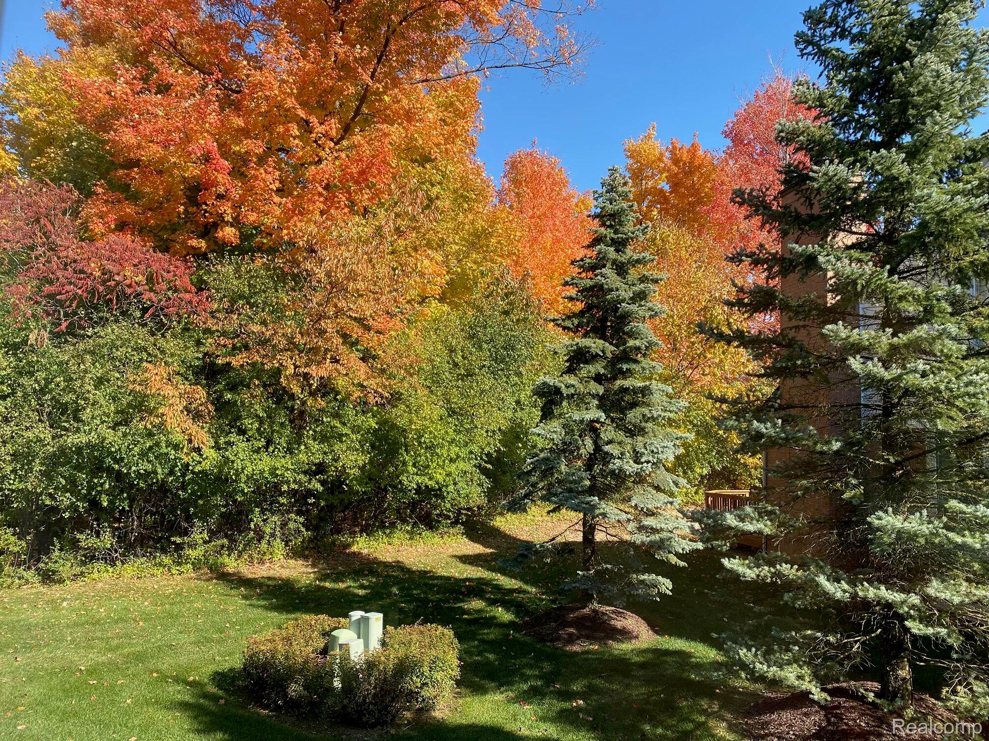 16418 Cypress Court 54