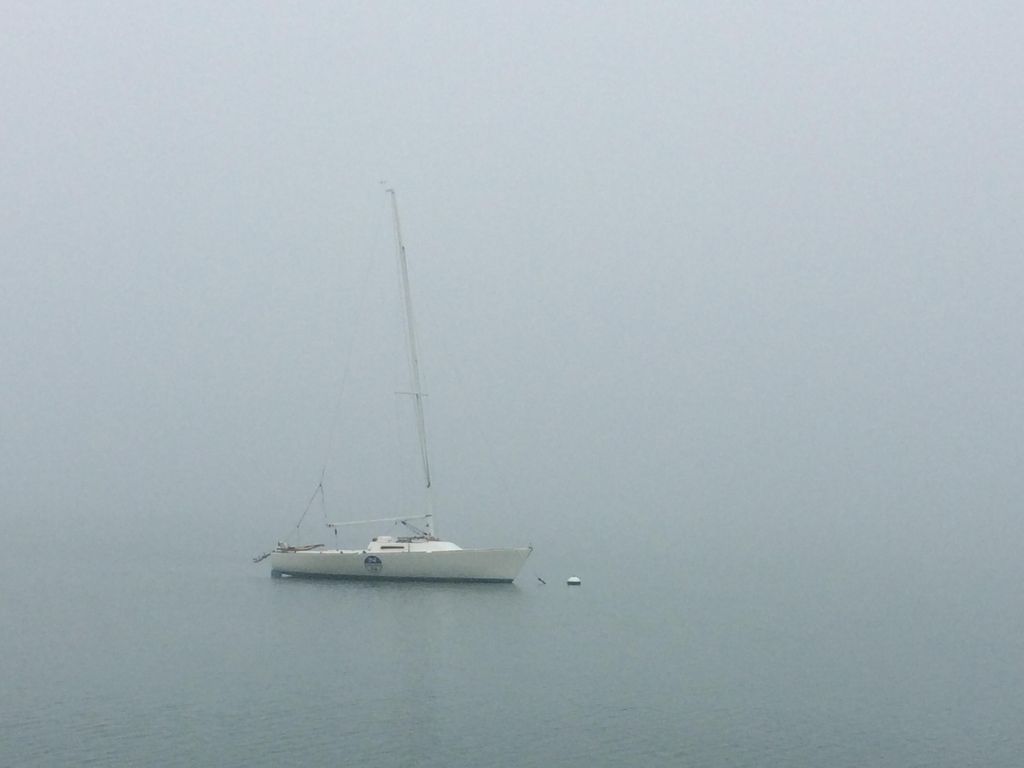 listing image 65