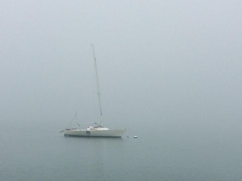 listing image 65