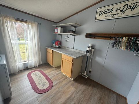 Tiny photo for 11462 W Sidney Road, Montcalm Township, MI 49326 (MLS # 72026013533)