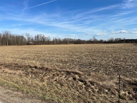 20 Acres Vacant Land Vernor Rd Mayfield Township MI 48446