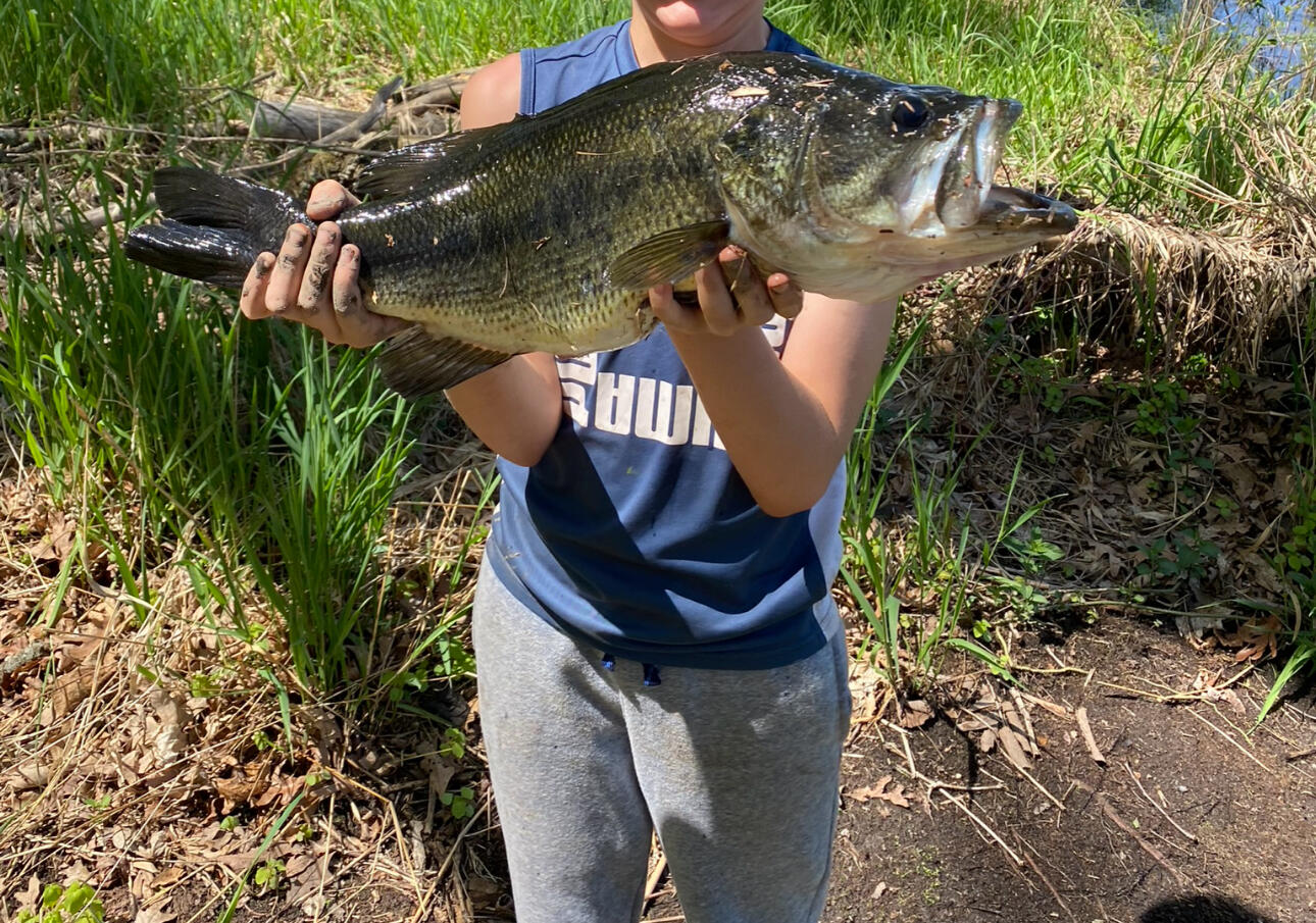 10652 Nugent Avenue NE