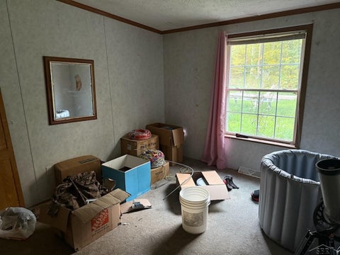 Tiny photo for 10312 Outback Trail, Maple Forest Township, MI 49733 (MLS # 61050223673)
