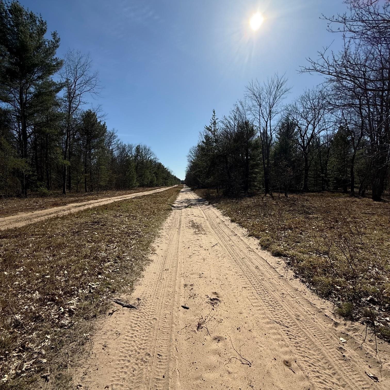 C Scharman Road