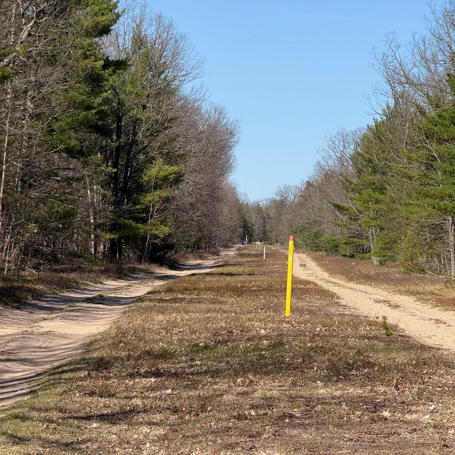 C Scharman Road