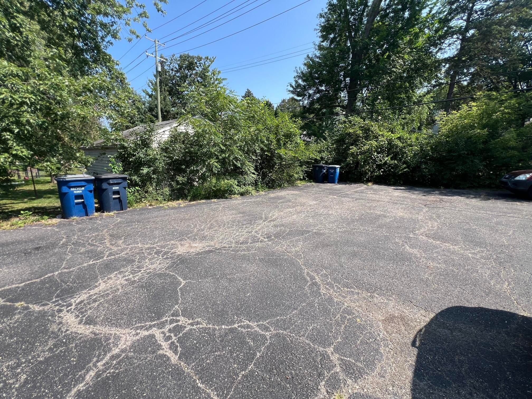 233 Collingwood Drive