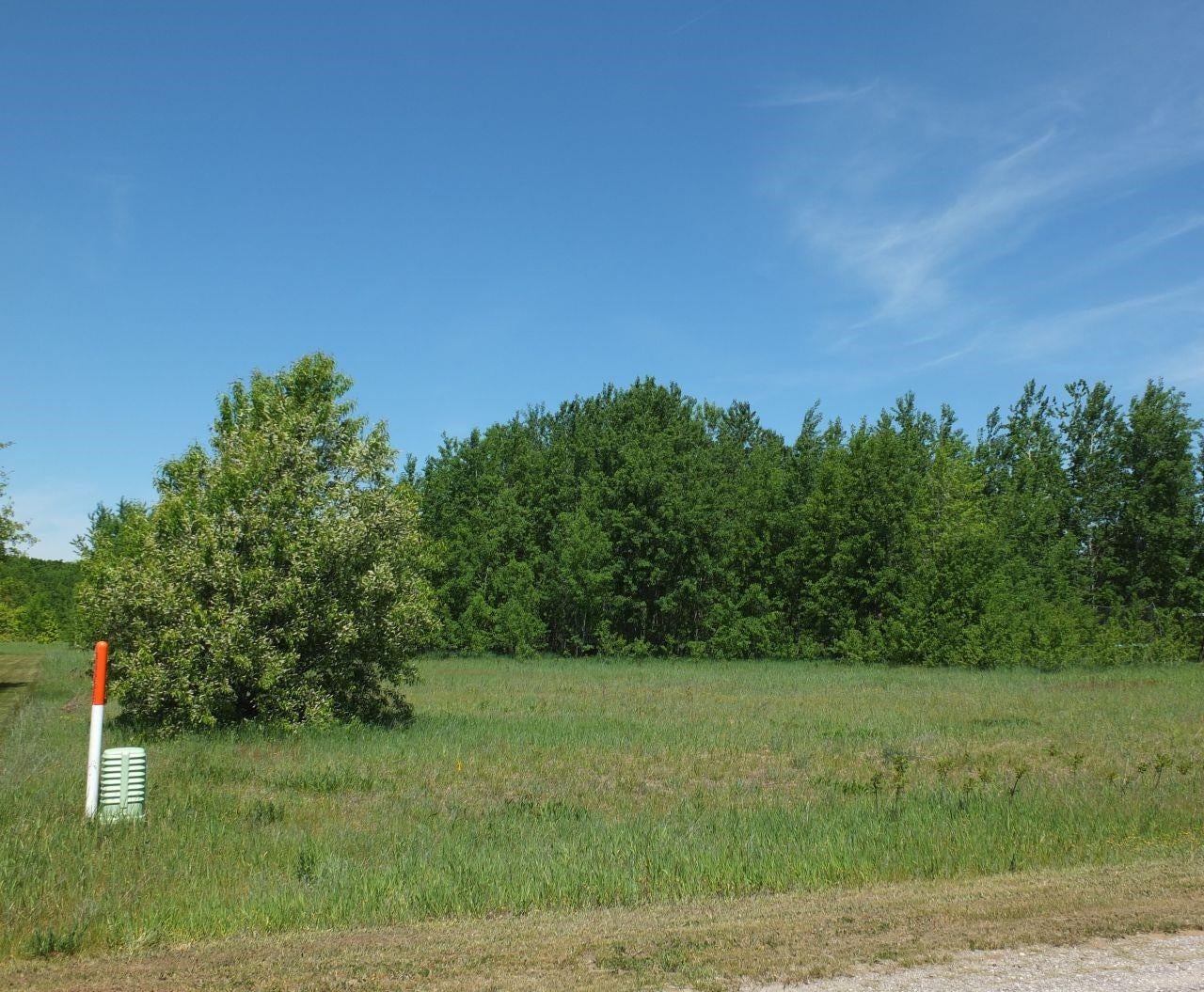 9441 Kingsfield Drive
