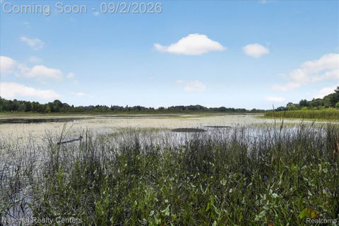 Tiny photo for 15771 Cavanaugh Lake Road, Sylvan Township, MI 48118 (MLS # 20261066808)
