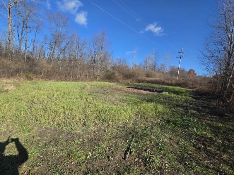 11315 Great Barrington Drive