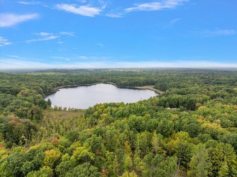 3943 N Skookum Road Ellsworth Township MI 49656