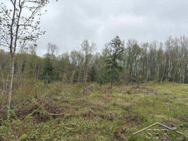 Au Train Township, Michigan 49895, United States, ,Land,Active,134373