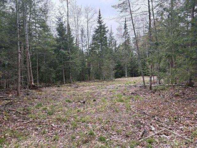 Au Train Township, Michigan 49895, United States, ,Land,Active,134373