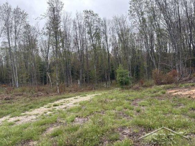 Au Train Township, Michigan 49895, United States, ,Land,Active,134373