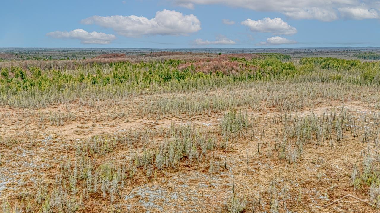 Au Train Township, Michigan 49895, United States, ,Land,Active,134373
