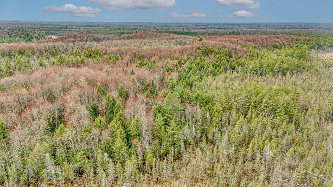 Au Train Township, Michigan 49895, United States, ,Land,Active,134373