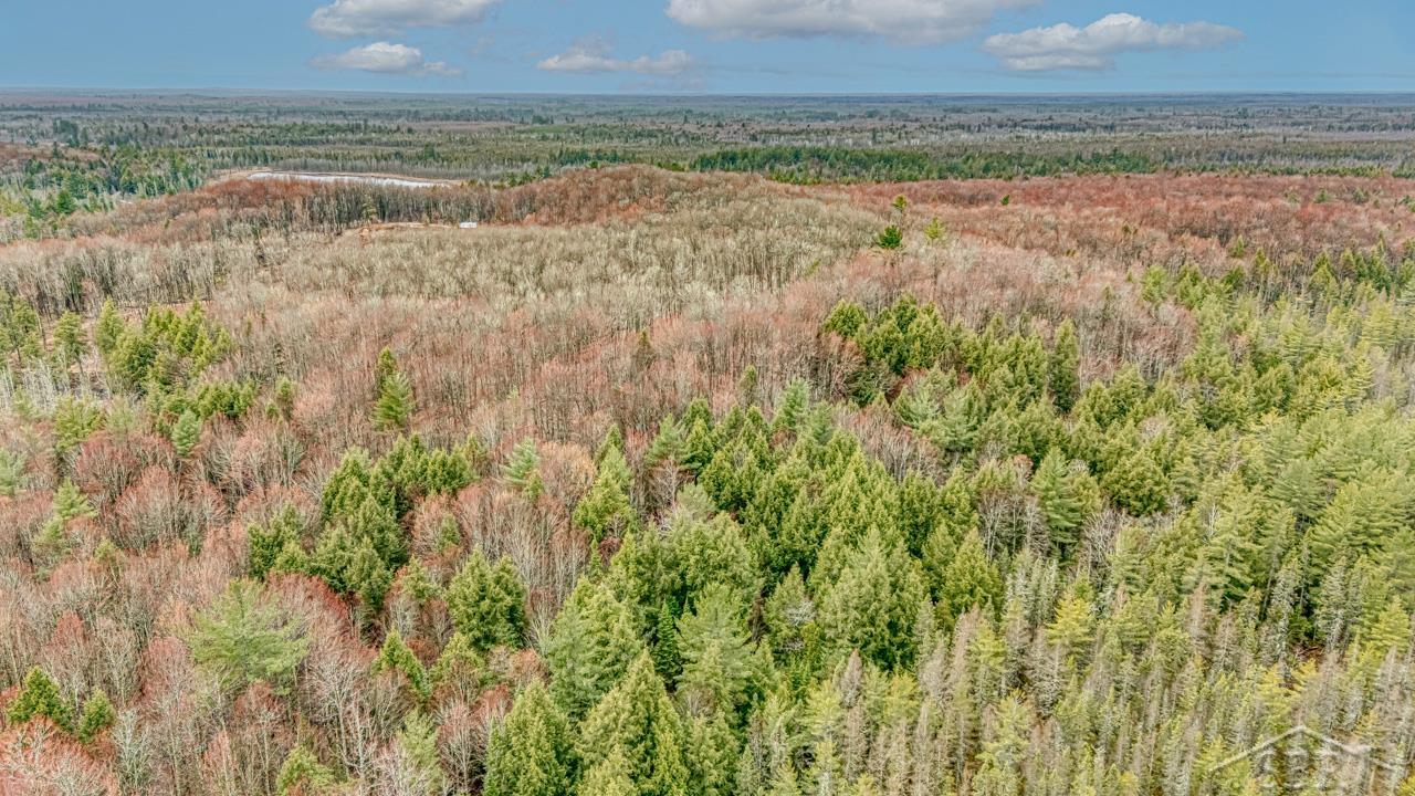 Au Train Township, Michigan 49895, United States, ,Land,Active,134373