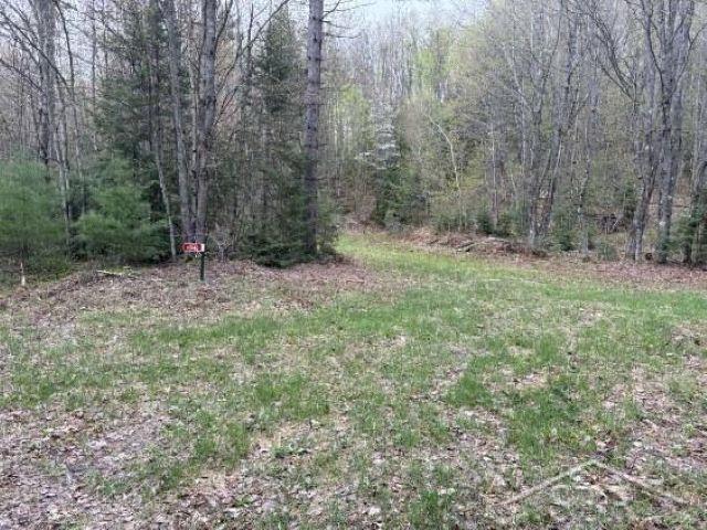 Au Train Township, Michigan 49895, United States, ,Land,Active,134373