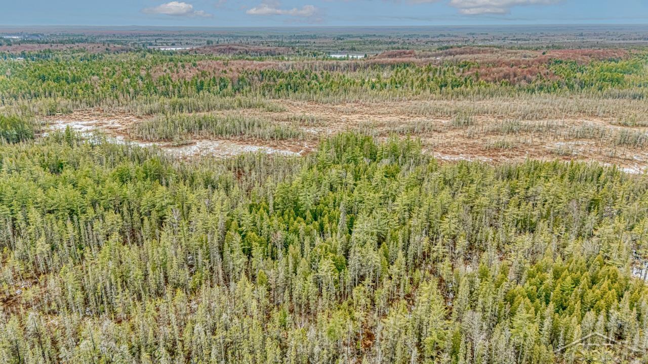 Au Train Township, Michigan 49895, United States, ,Land,Active,134373