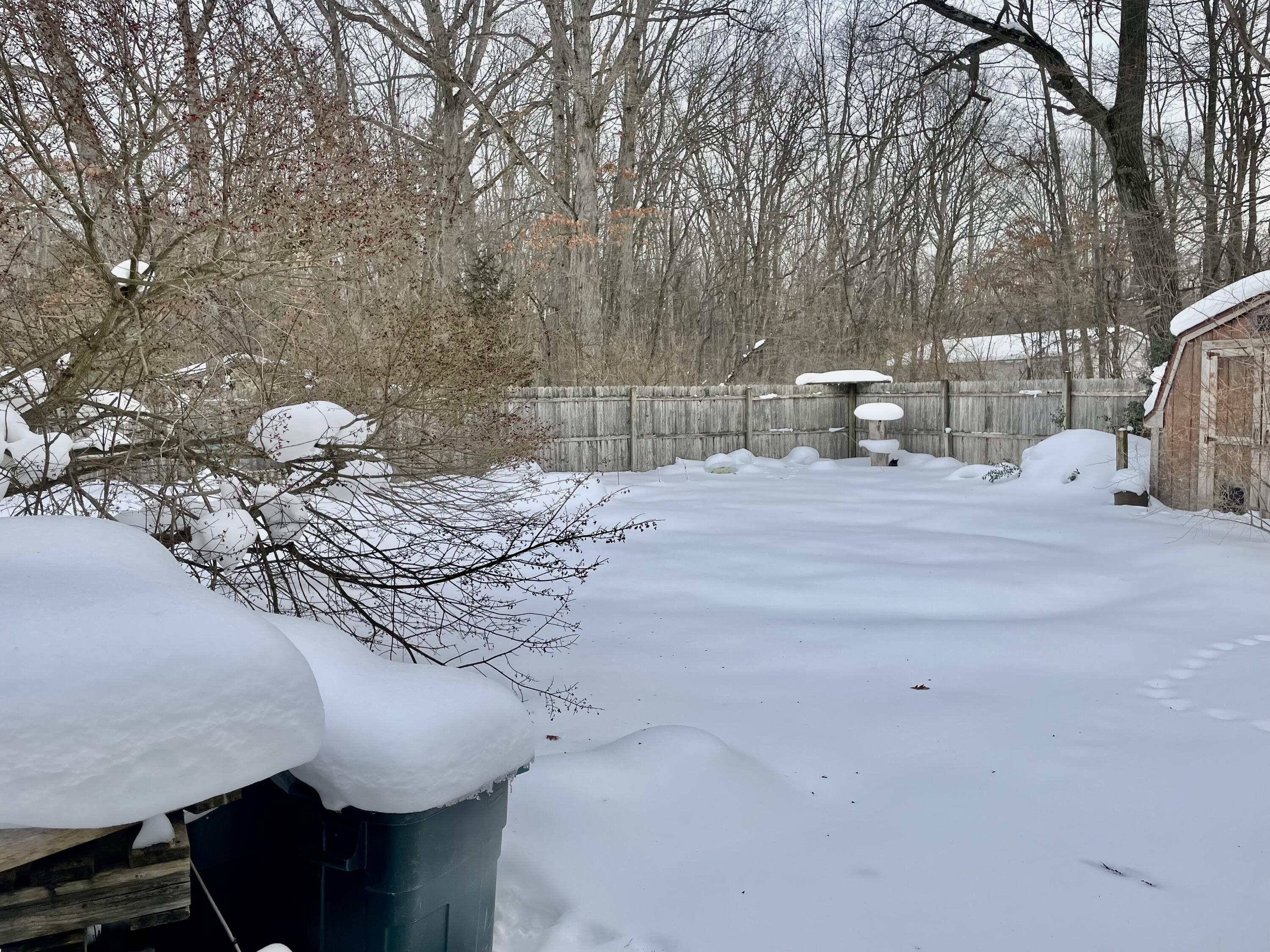 1246 S Mill Iron Road