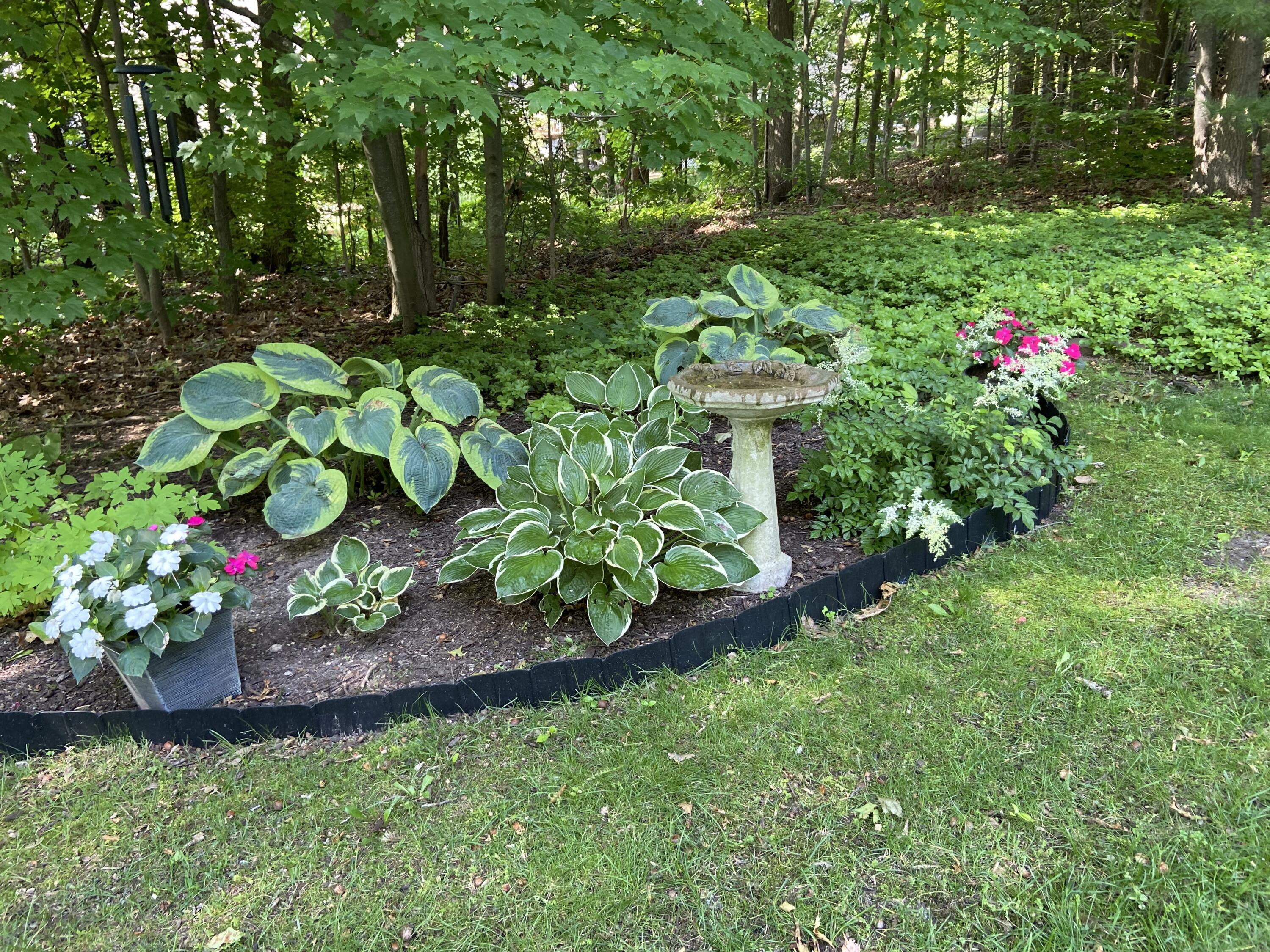 10434 Sourwood Court