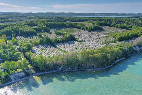 S Lee Point Road Bingham Township MI 49682