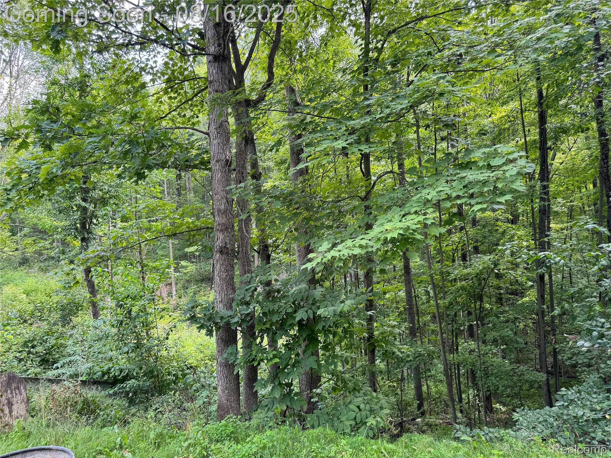 Gladwin City, Michigan 48624, United States, 2 Bedrooms Bedrooms, ,1 BathroomBathrooms,Residential,Pending,191490