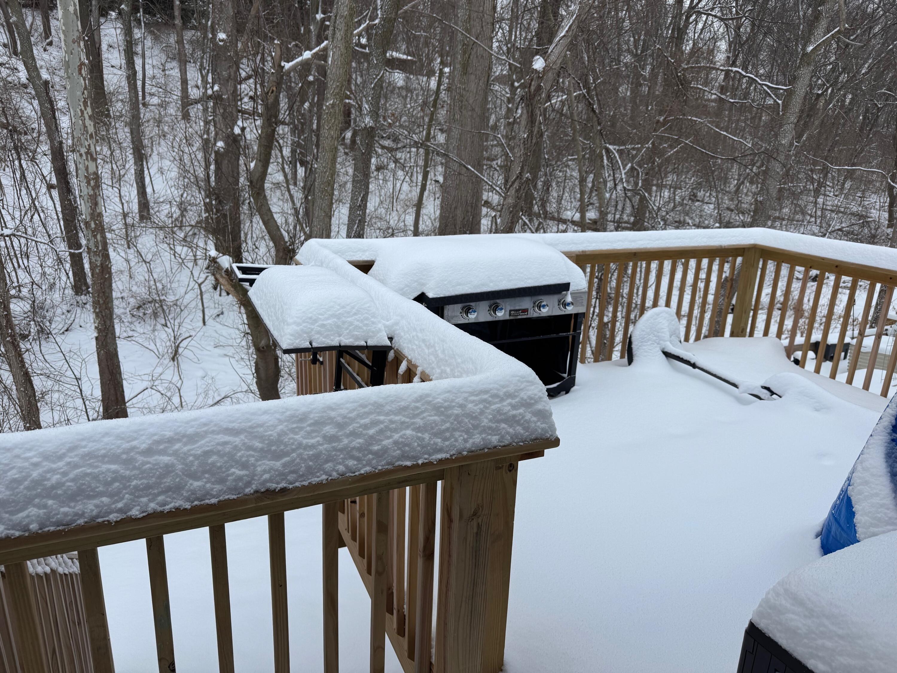 557 N Cygnet Lake Drive