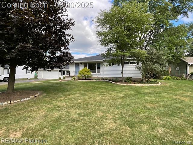 1120 Orchid Street