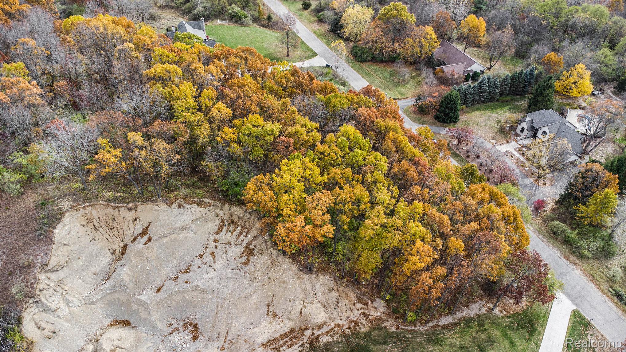 11136 Delphinium Drive