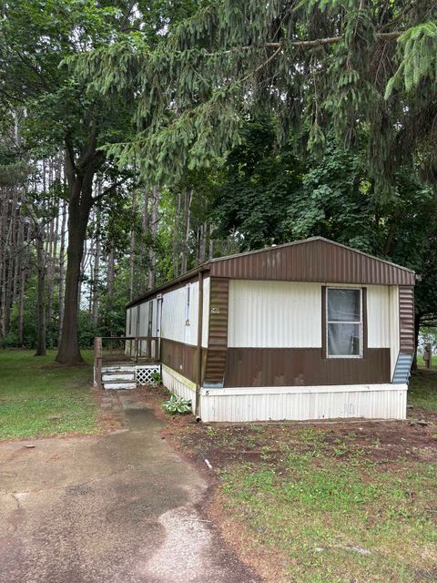 5401 PINE Street Buel Township MI 48422